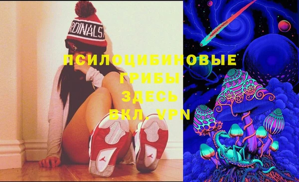 PSILOCYBIN Осинники