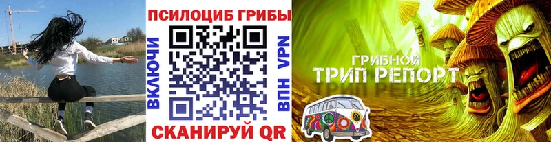 Галлюциногенные грибы Psilocybe  Удачный 